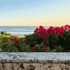 47c3d9ffa145ec9aaeb5e641a26c66b6.gif